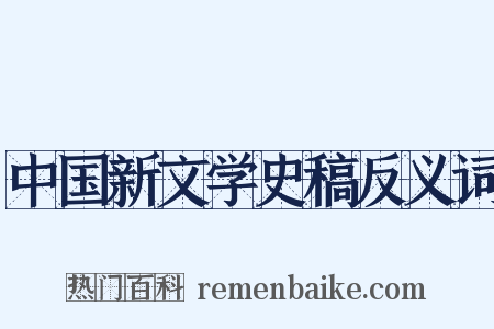 中国新文学史稿反义词是什么意思的图片